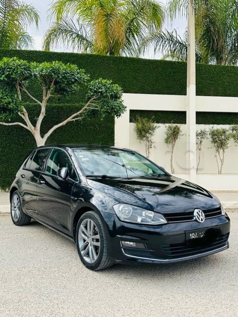 Carte voiture Volkswagen Golf