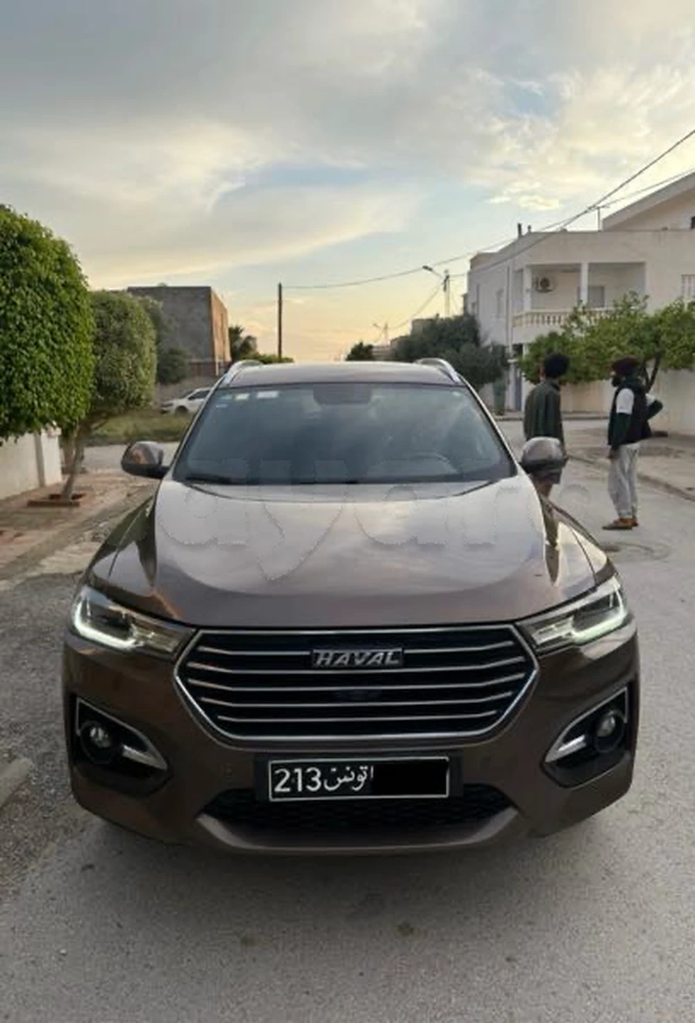 Carte voiture Haval H6