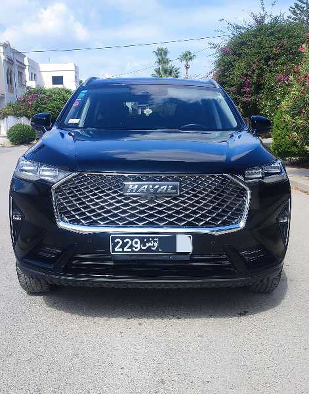 Carte voiture Haval H6