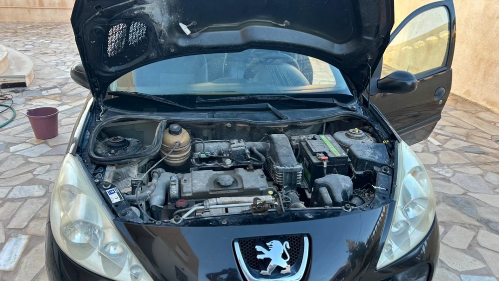 Peugeot 206+