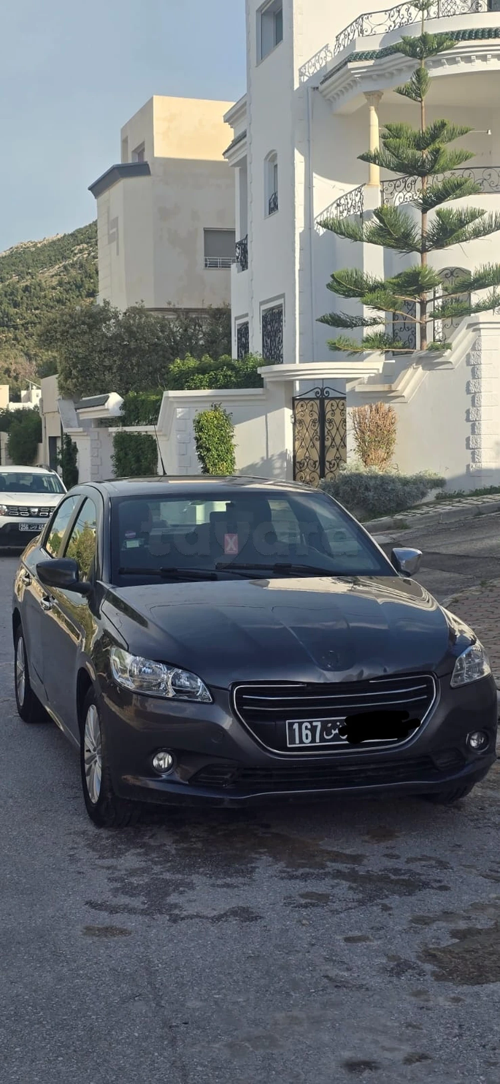 Carte voiture Peugeot 301