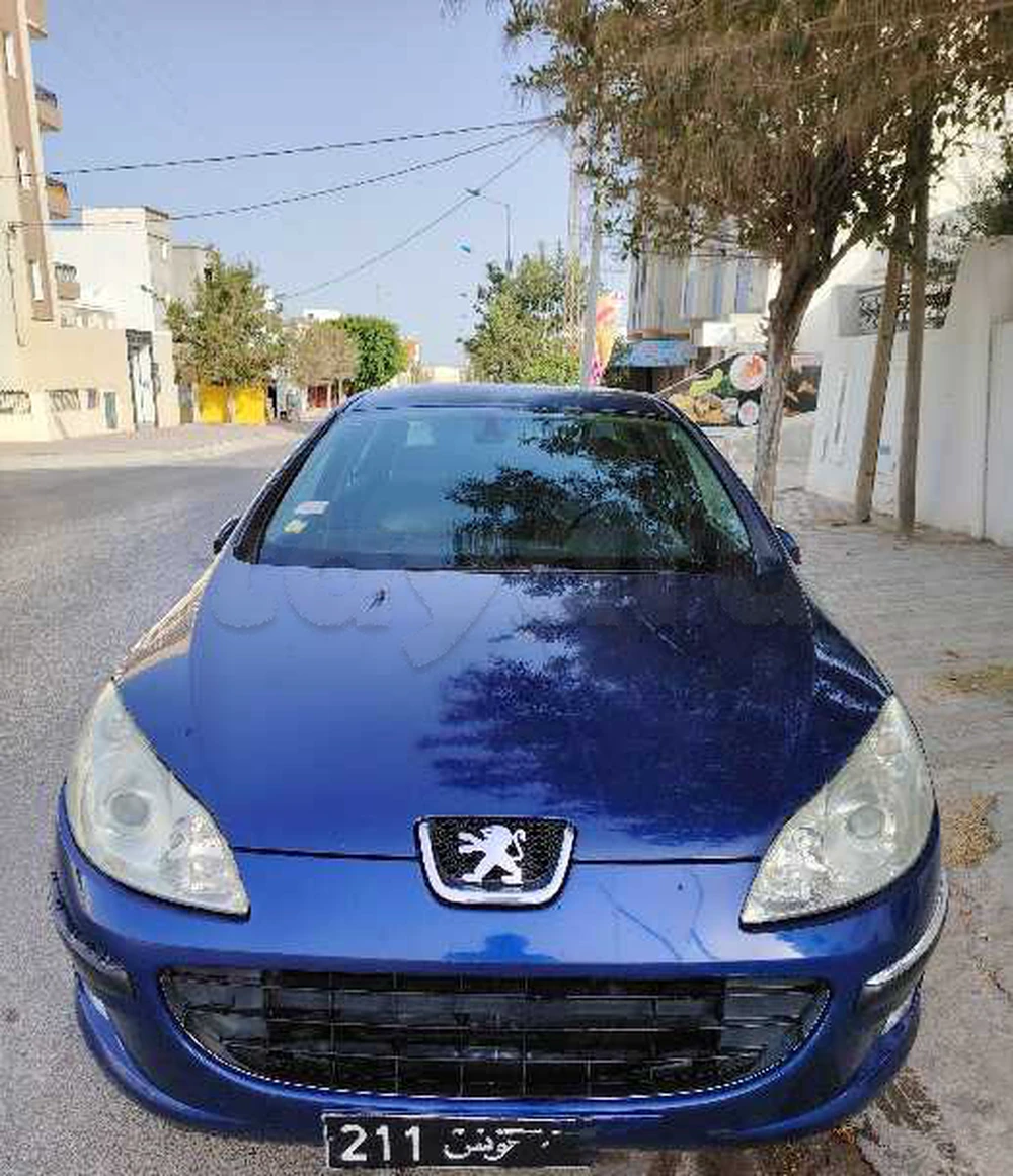 Peugeot 407 - 2006 Diesel 8 CV à Sousse - autoprix.tn