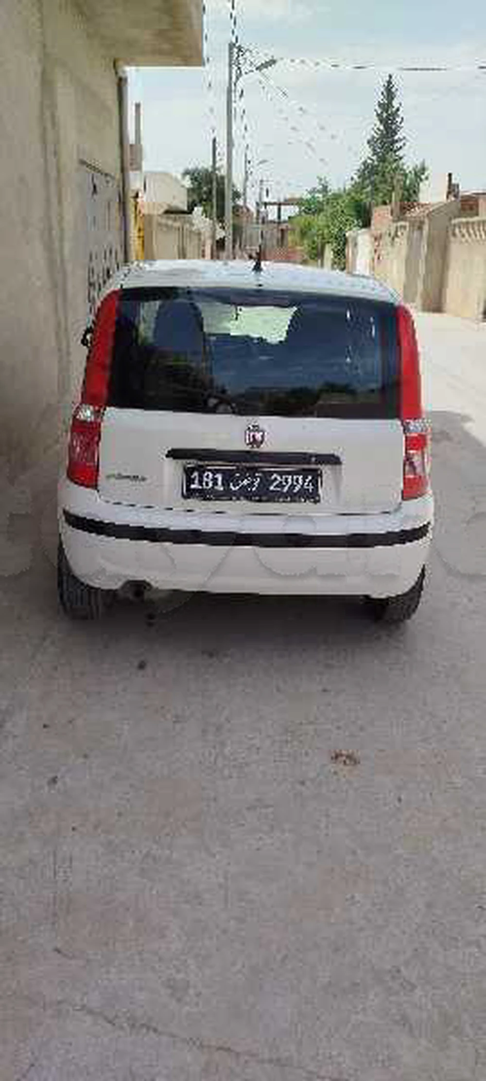 Carte voiture Fiat Panda