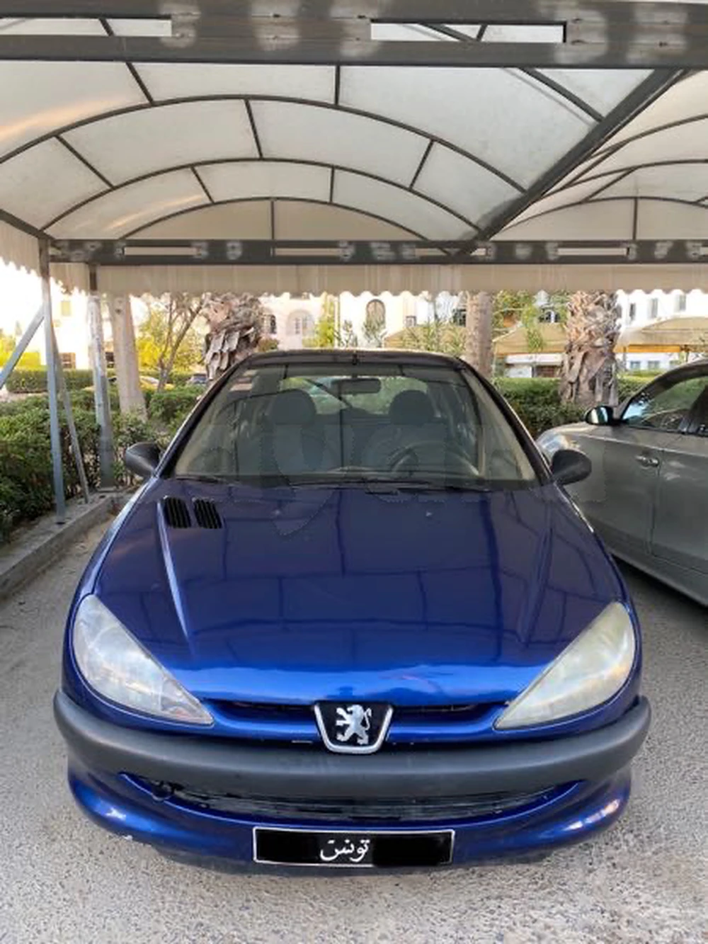 Carte voiture Peugeot 206