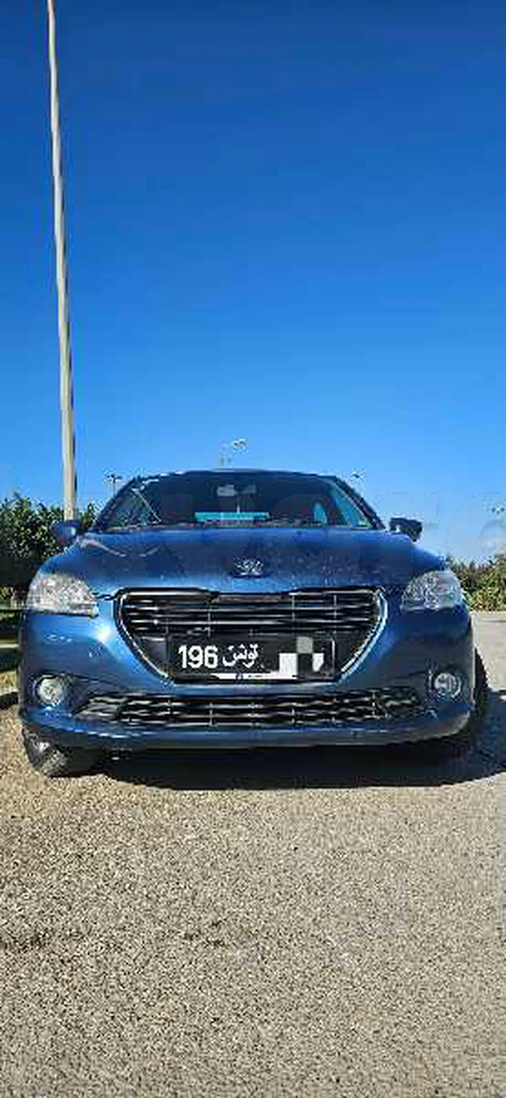 Carte voiture Peugeot 301