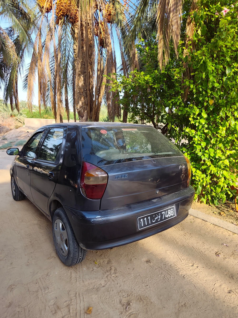 Fiat Palio