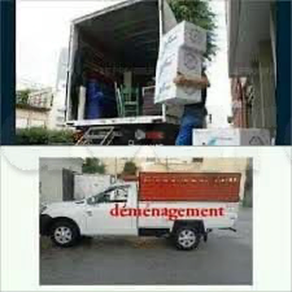 TRANSPORTEUR PRIX RAISONNABLE TÉLÉ 97472416 DÉMÉNAGEMENT maison villa appartement meublé