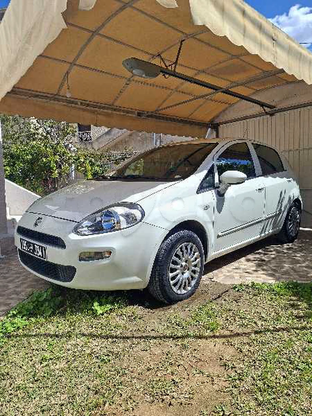 Carte voiture Fiat Punto