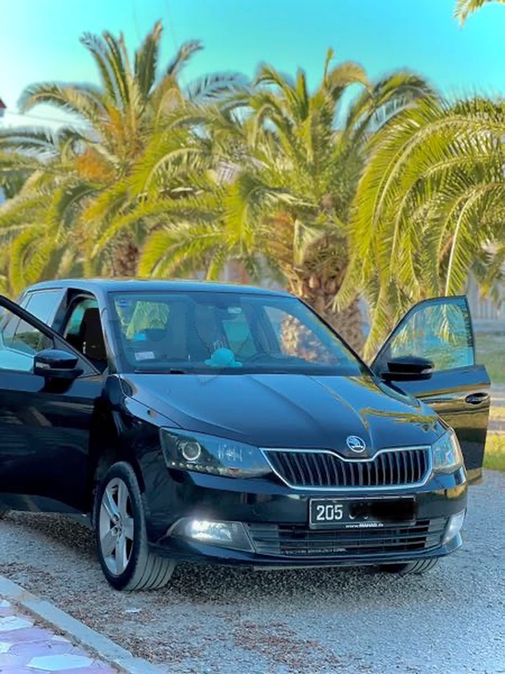 Carte voiture Skoda Fabia