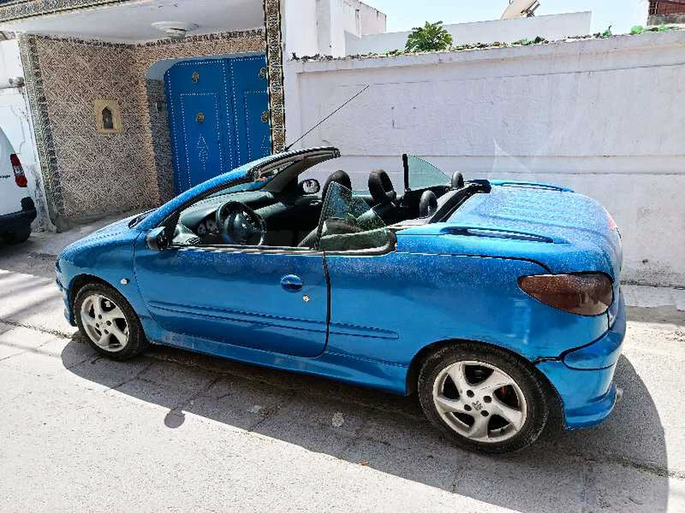 Carte voiture Peugeot 206