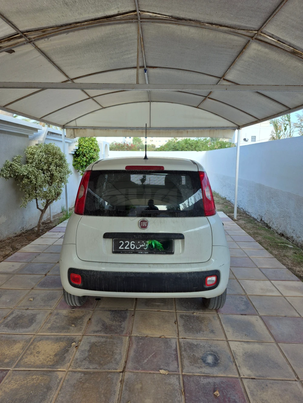 Carte voiture Fiat Panda