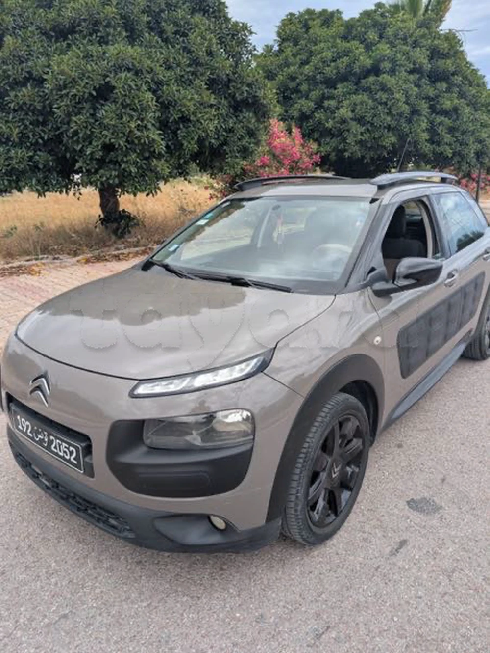 Citroen C4 Cactus