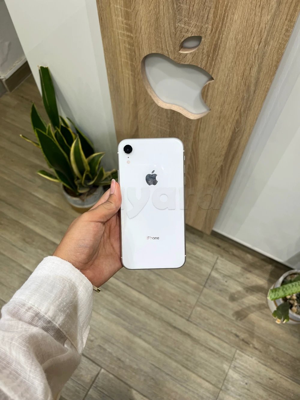 iPhone XR