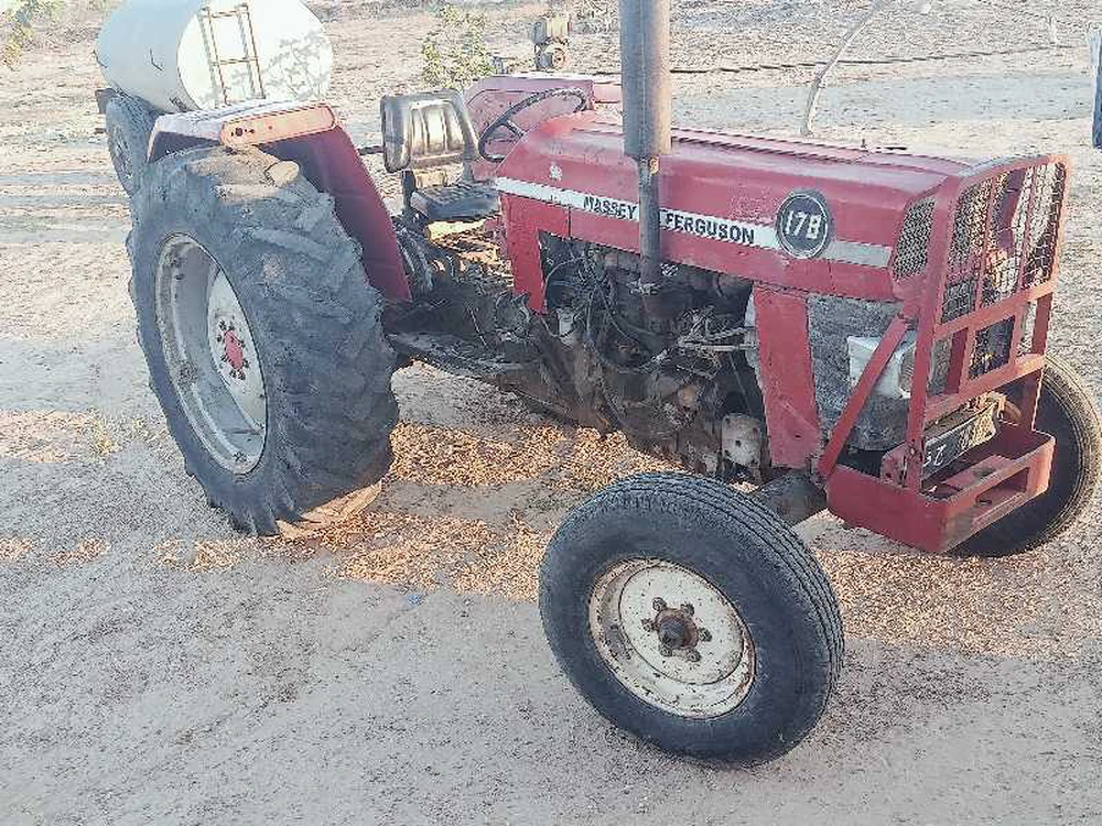 فرقسن للبيع في صفاقس الغريبة معاه سترنا المجي نجاح 4 الاف لتر 29055819