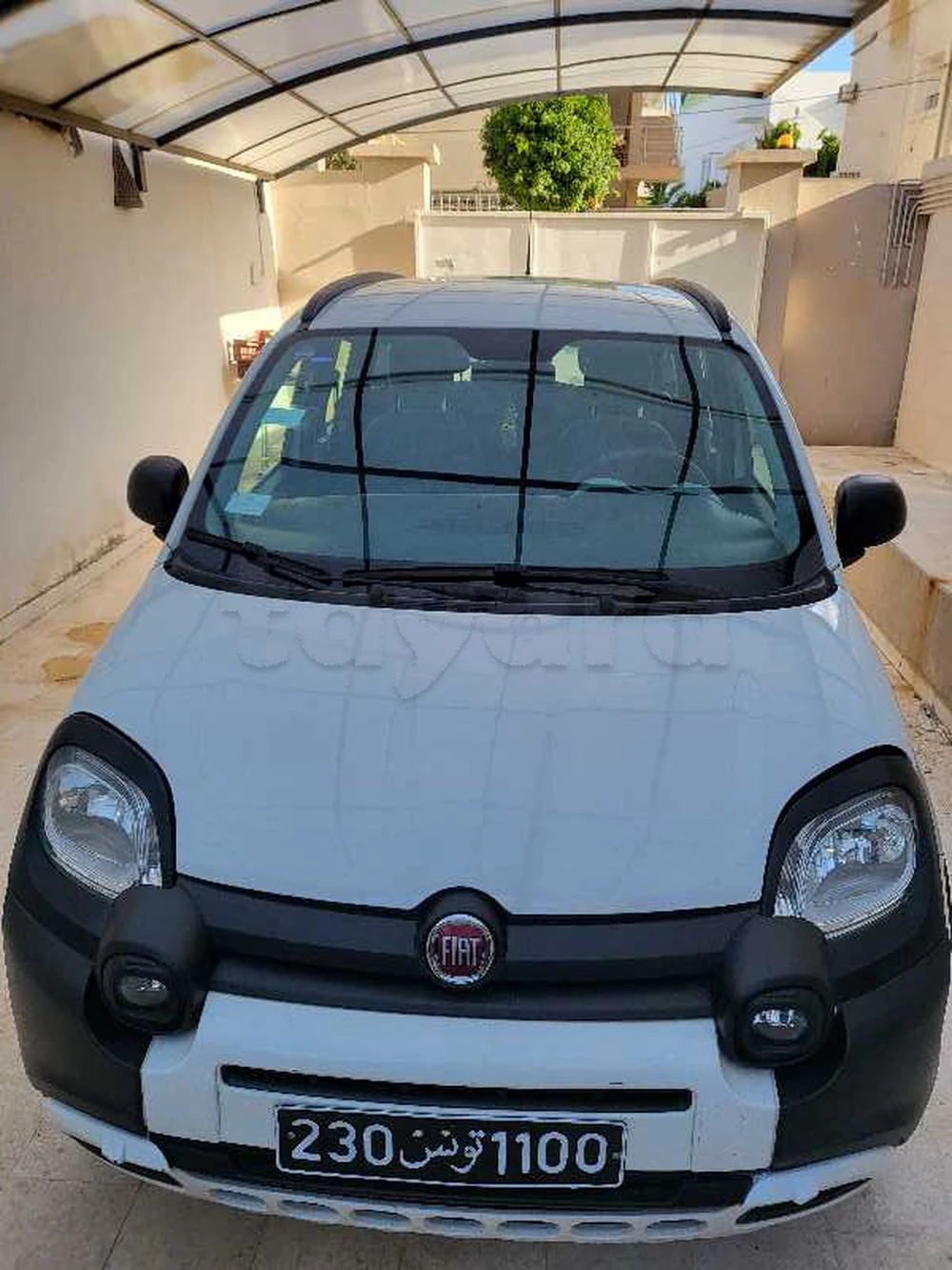 Carte voiture Fiat Panda