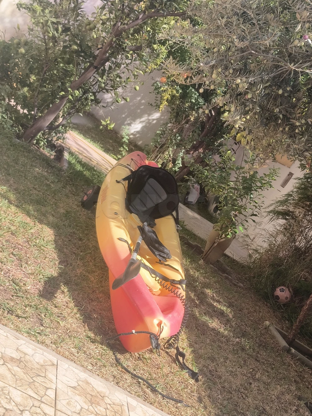 Kayak