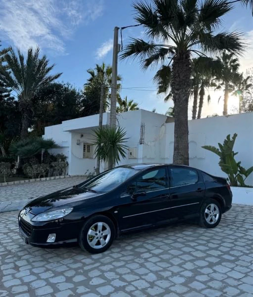 Carte voiture Peugeot 407