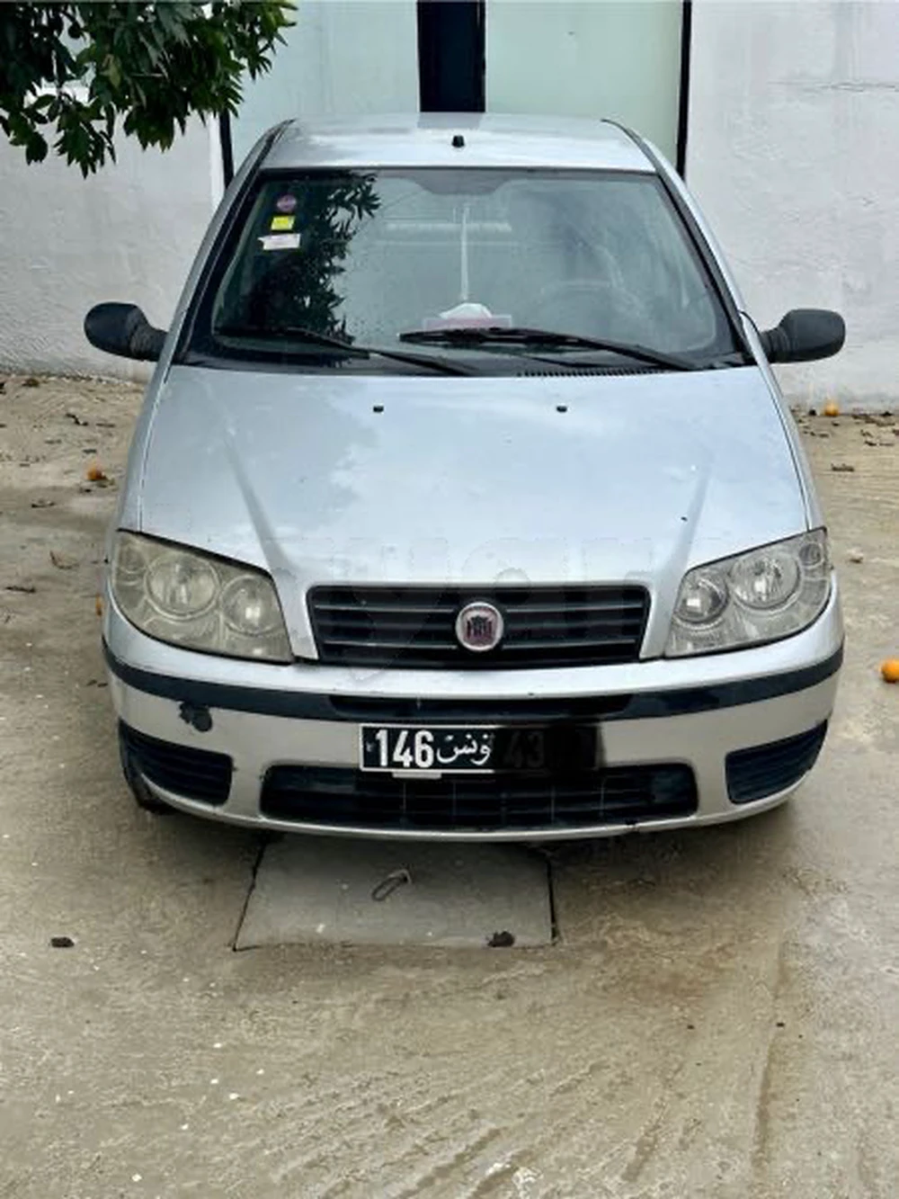 Carte voiture Fiat Punto