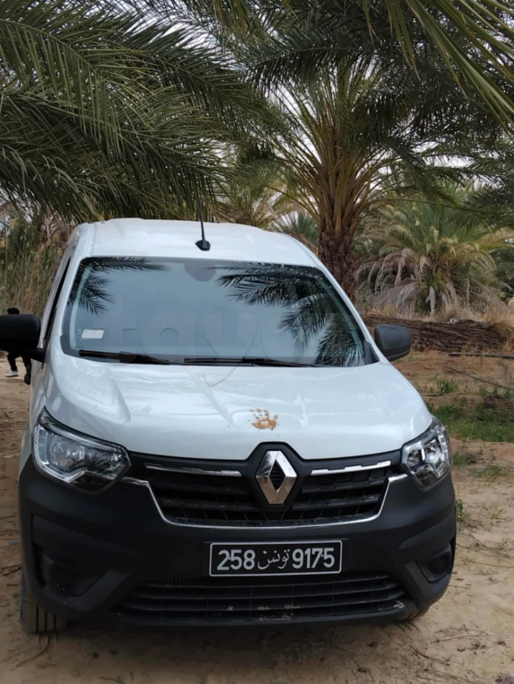 Carte voiture Renault Express