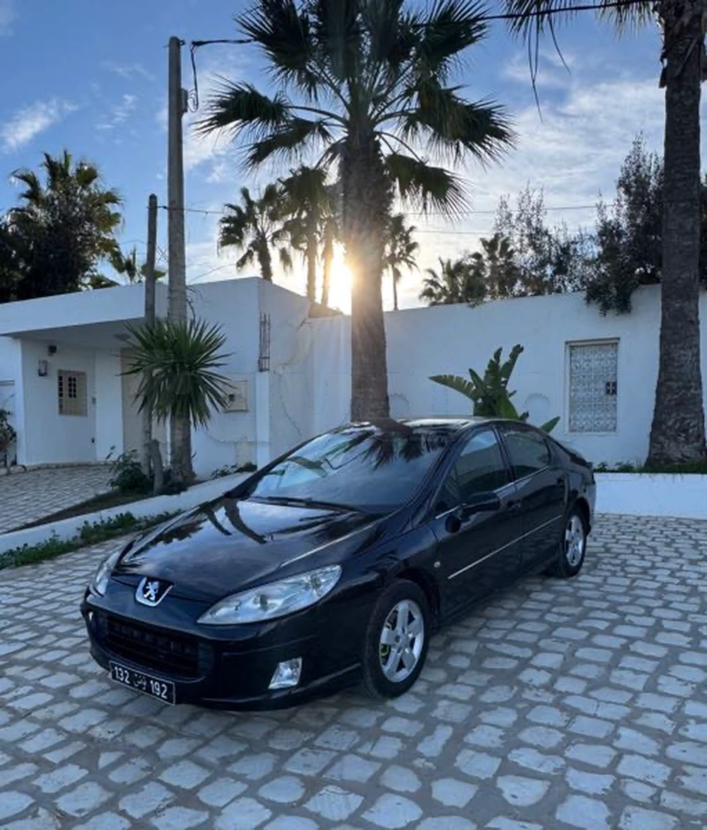 Carte voiture Peugeot 407 SW