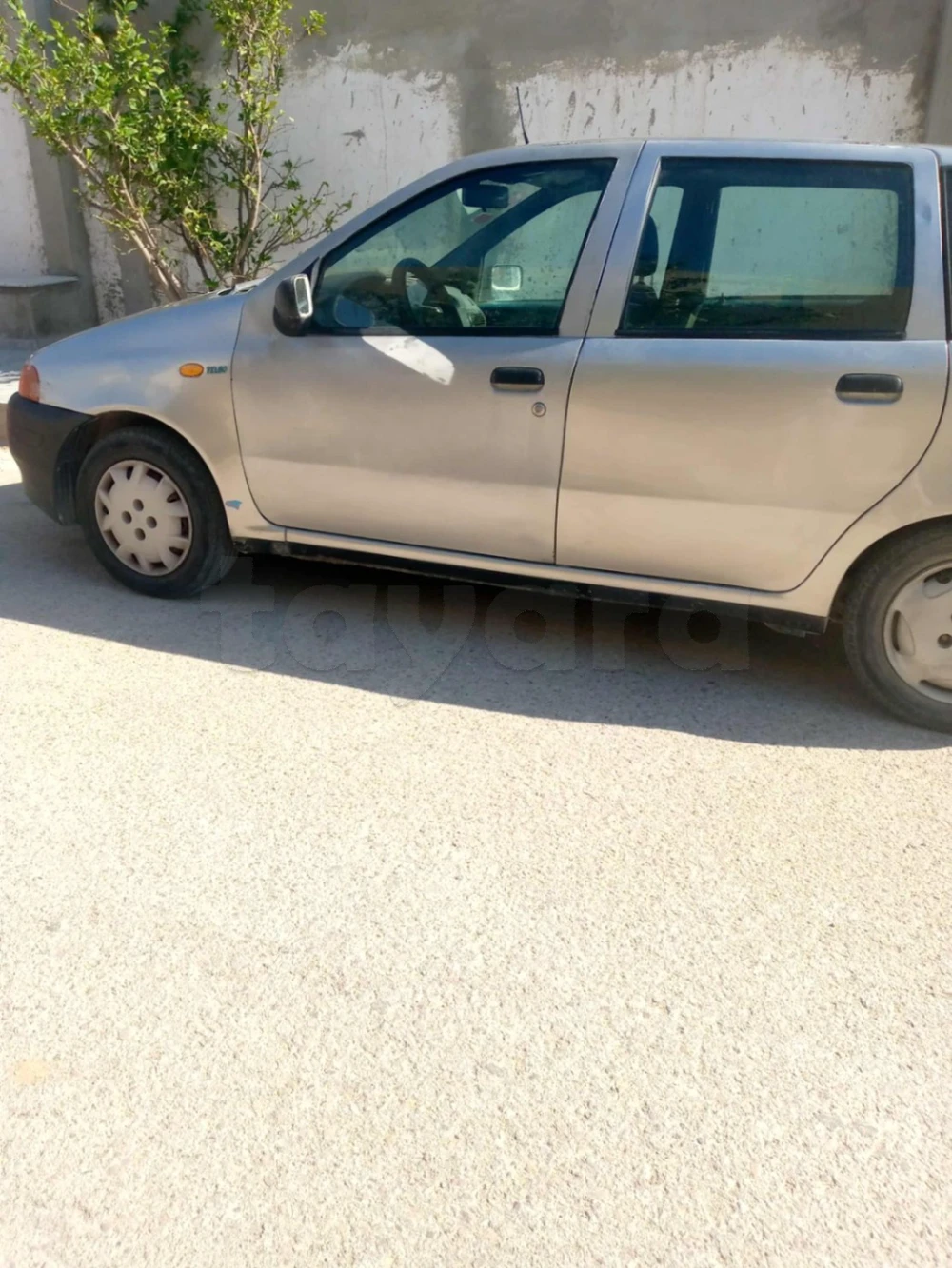 Carte voiture Fiat Punto