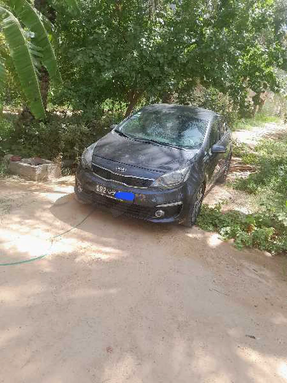 Carte voiture Kia Rio