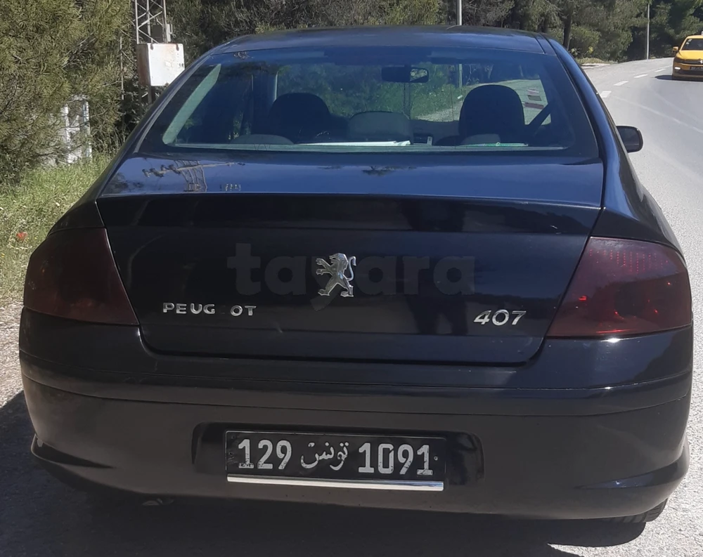 Peugeot 407