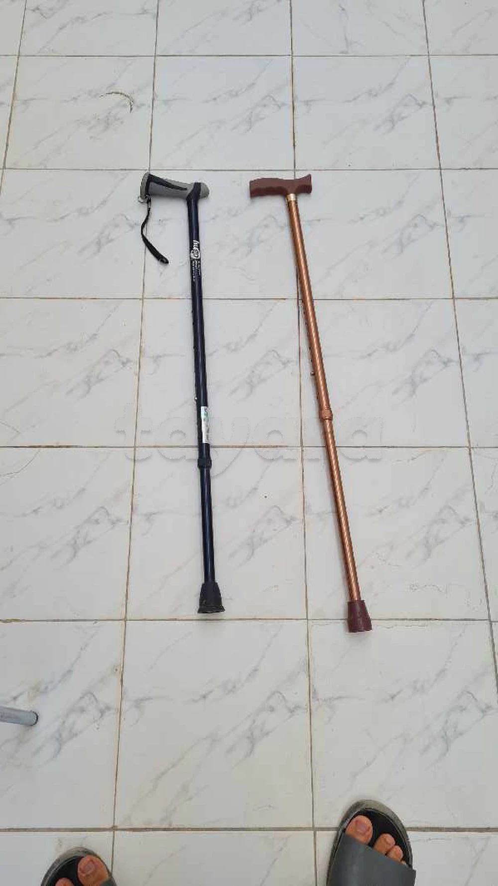 Lot de 2 cannes de marche pour seniors (dont marque Hugo)