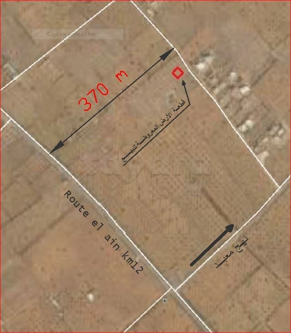 Excellente opportunité de 542 m²