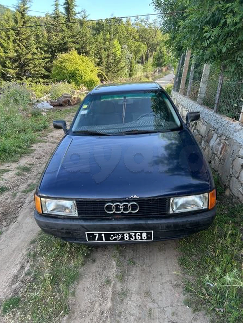 Audi 80