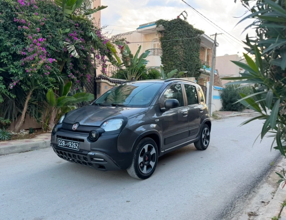 Carte voiture Fiat Panda