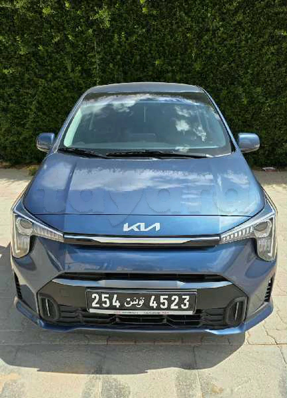 Carte voiture Kia Picanto