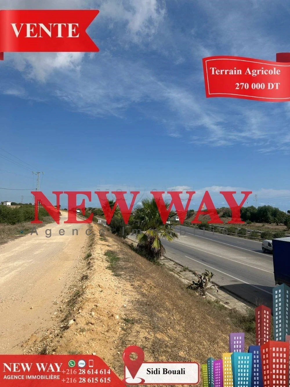 Terrain Agricole à Sidi Bouali près de l'autoroute et GP1