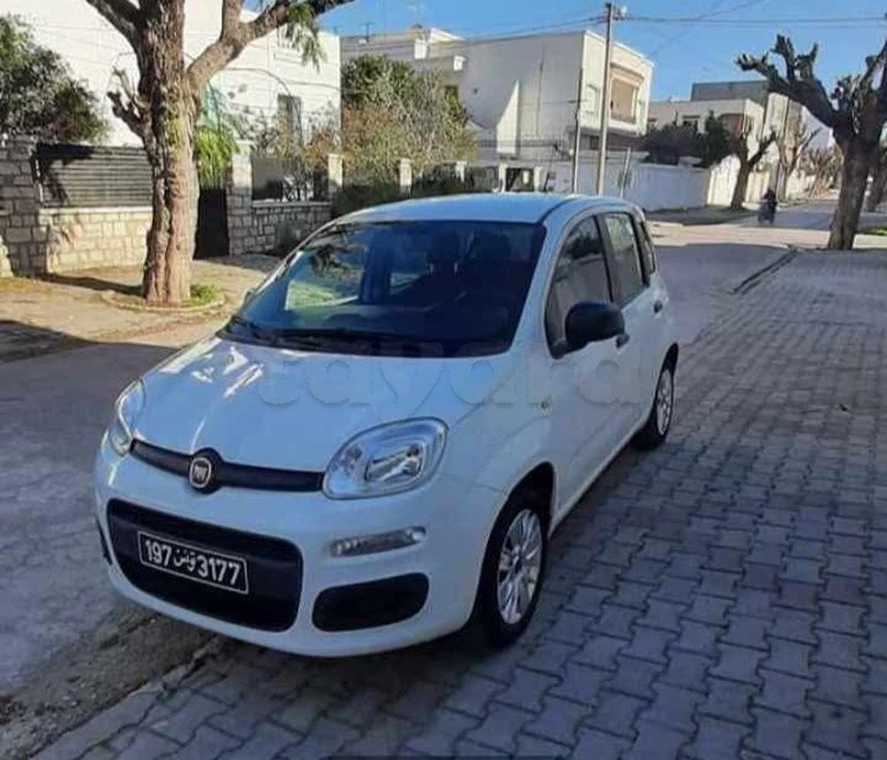Carte voiture Fiat Panda