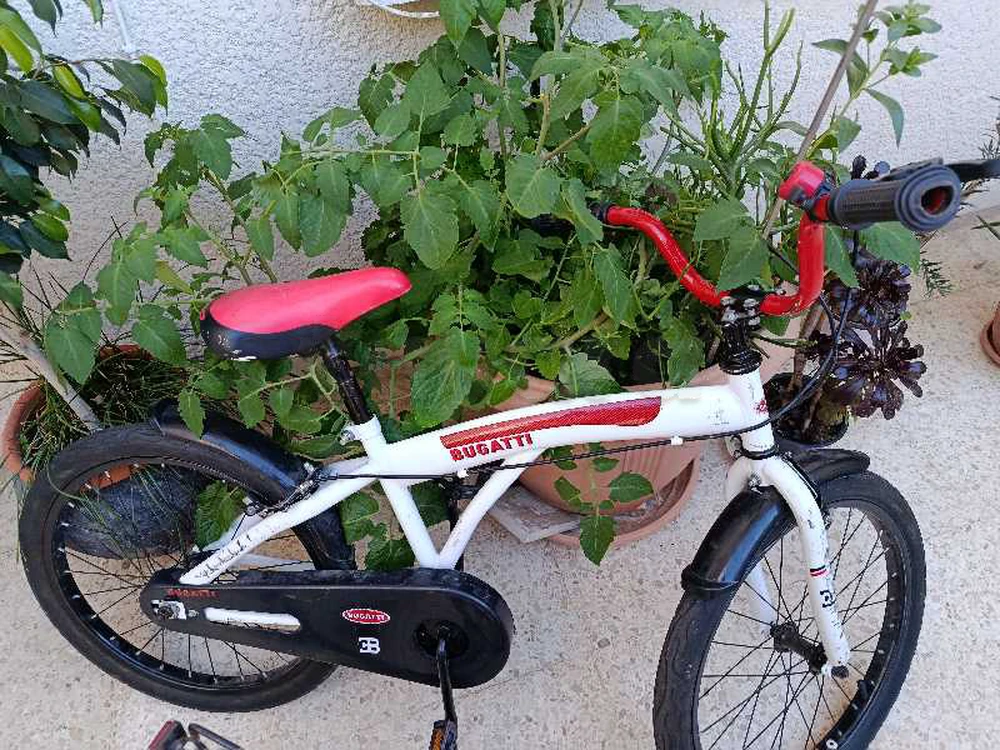 vélo trottinette skateboard