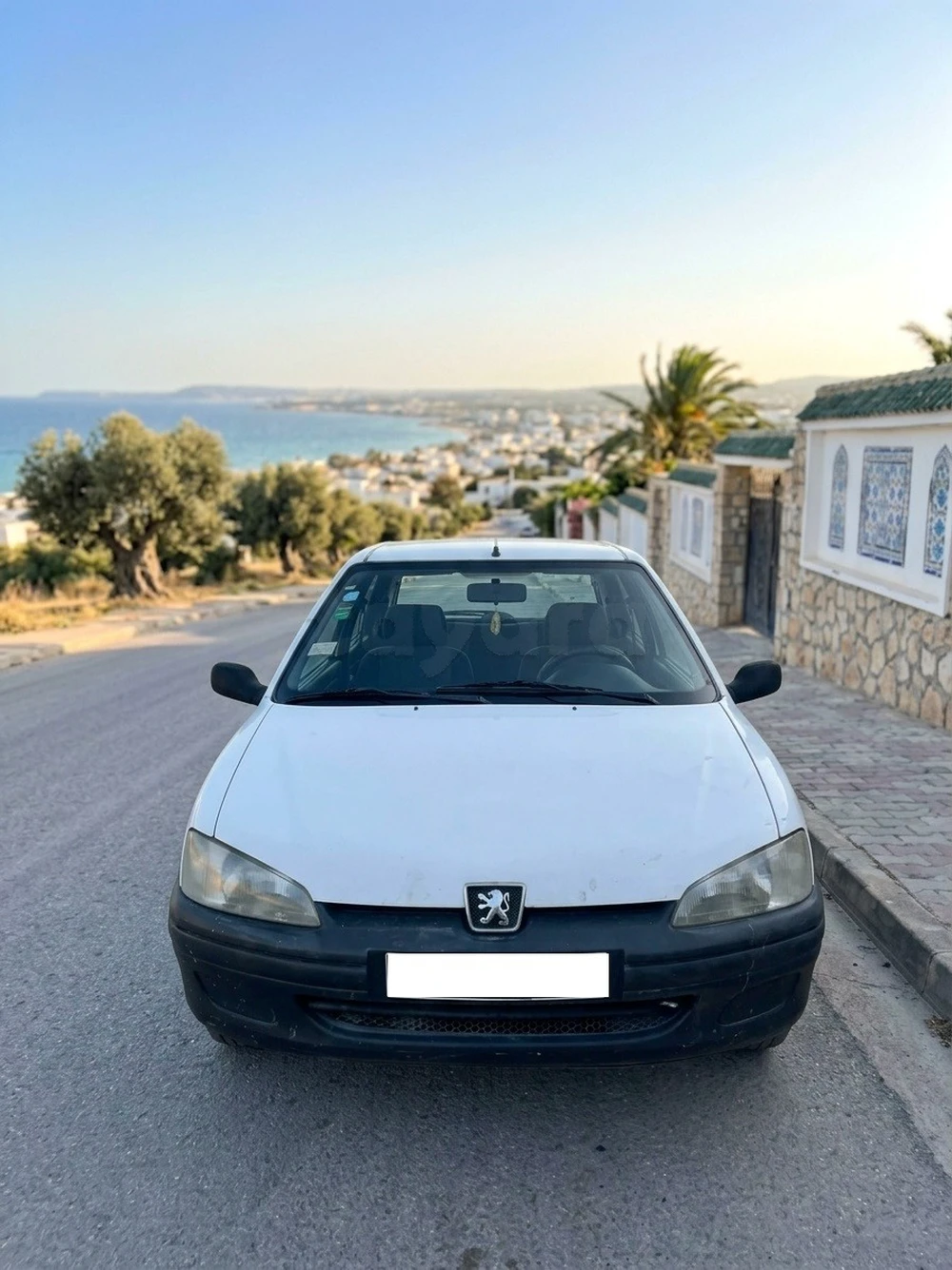 Peugeot 106