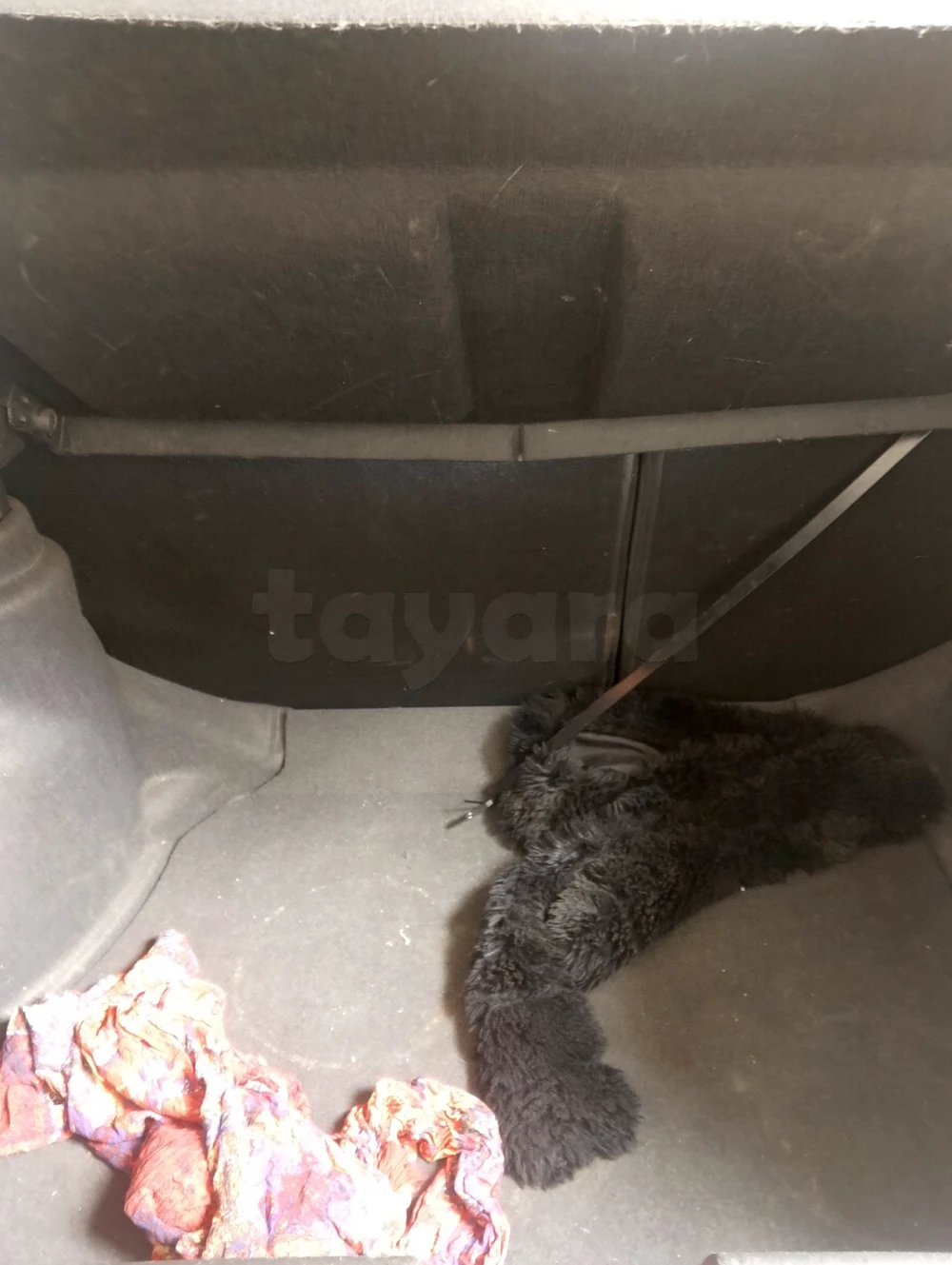 Chery Tiggo