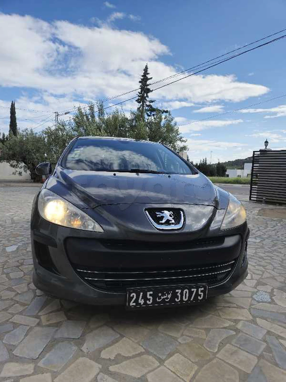 Carte voiture Peugeot 308