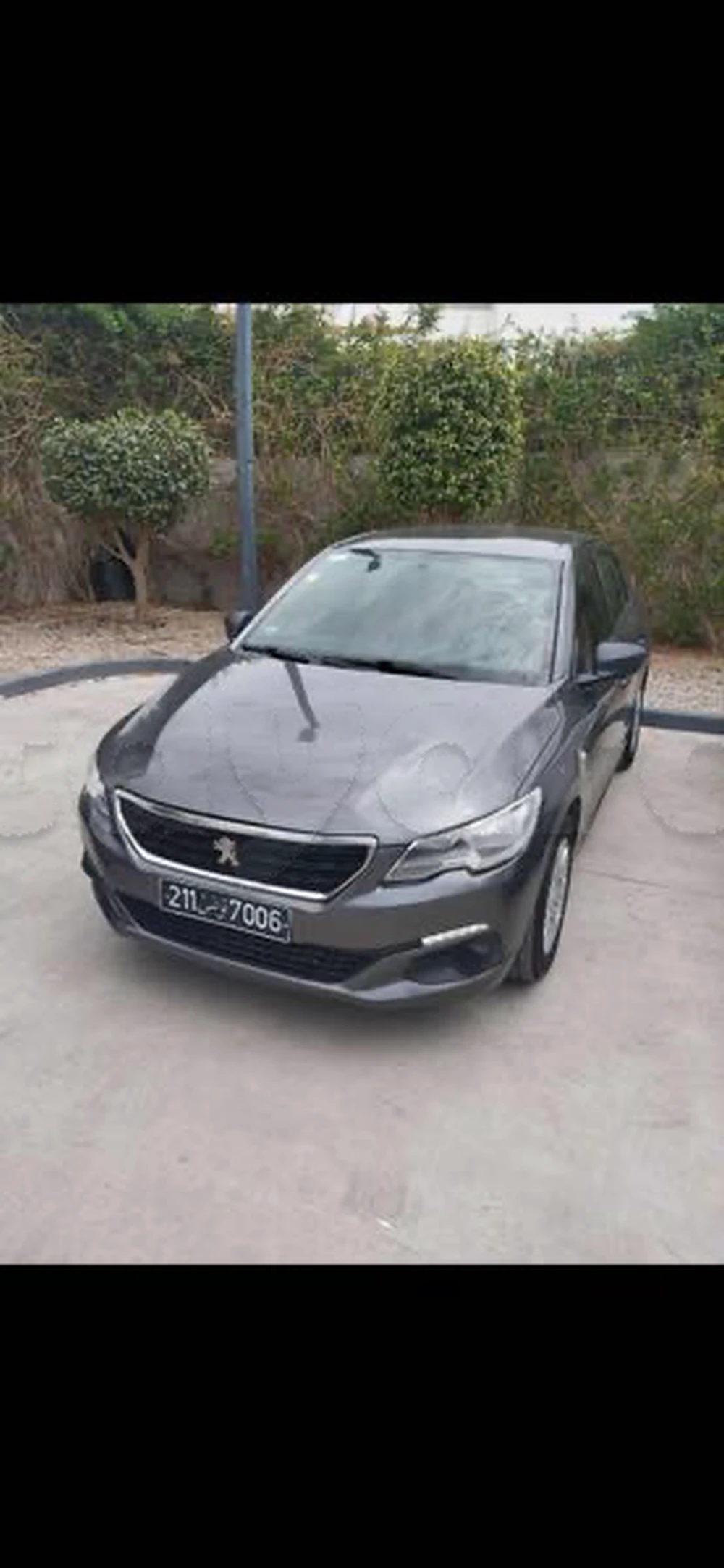 Carte voiture Peugeot 301