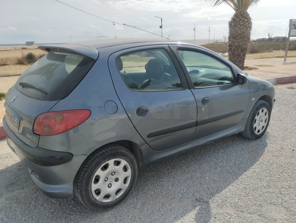 Carte voiture Peugeot 206