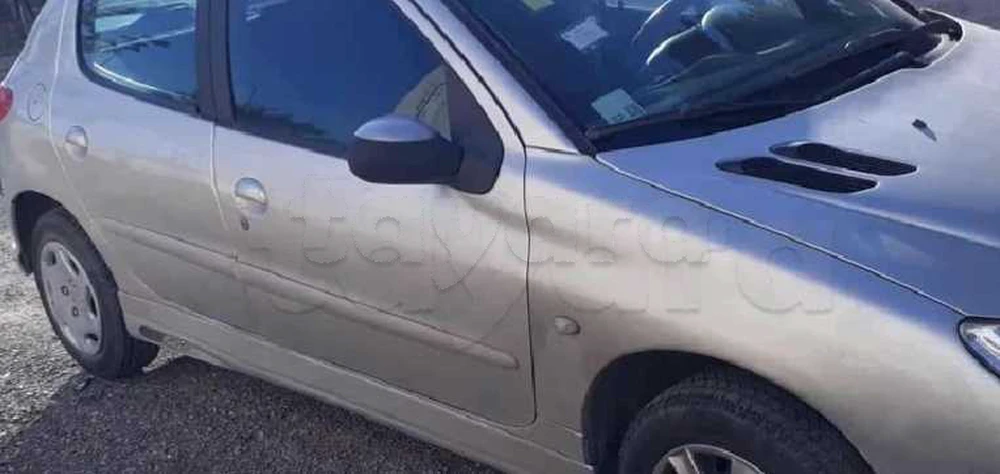 Carte voiture Peugeot 206+