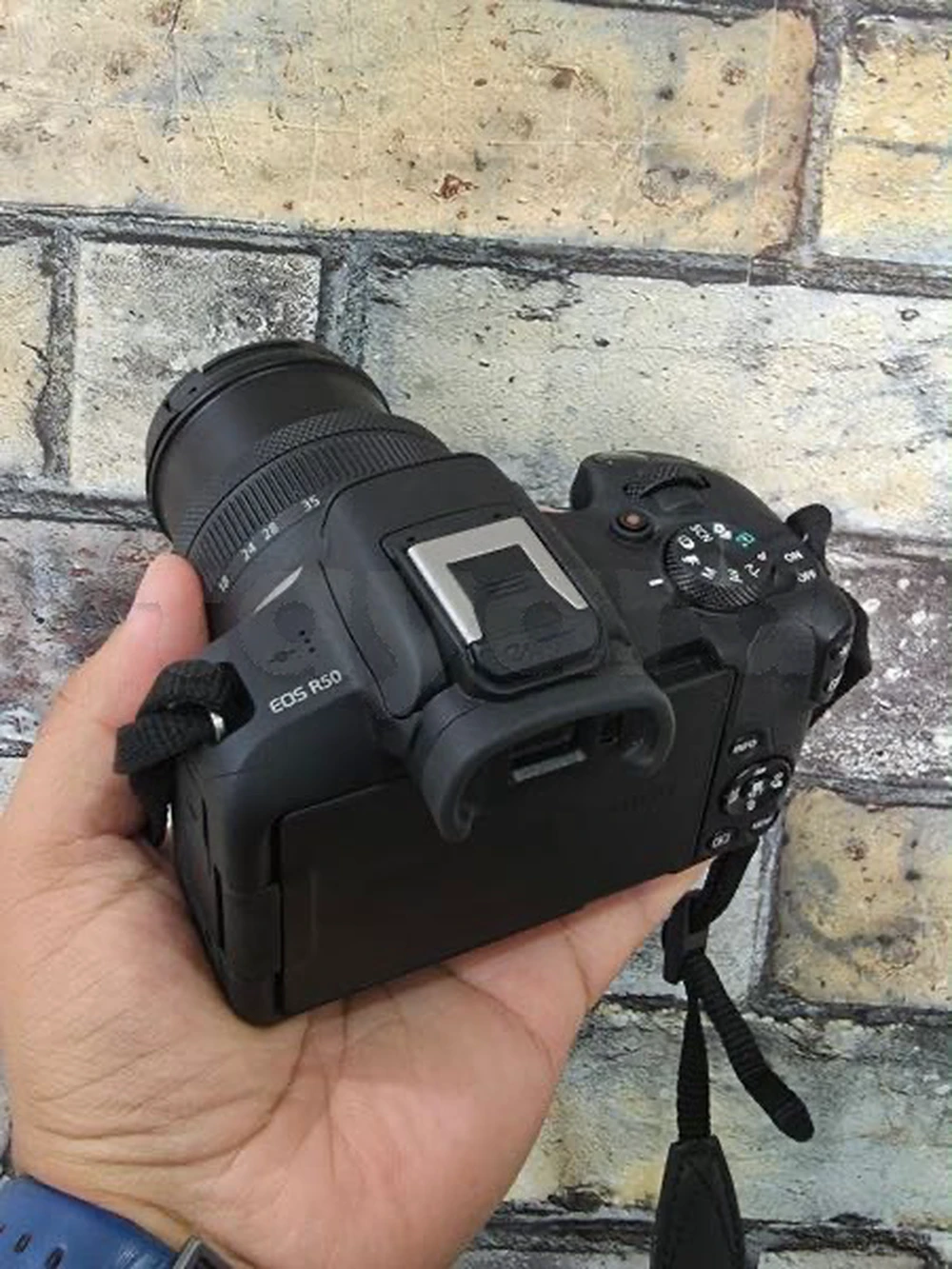 canon r50