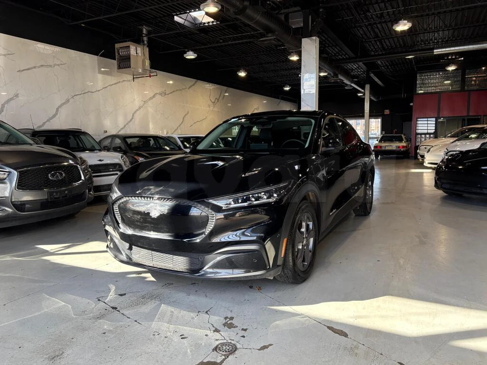 Carte voiture Ford Mustang
