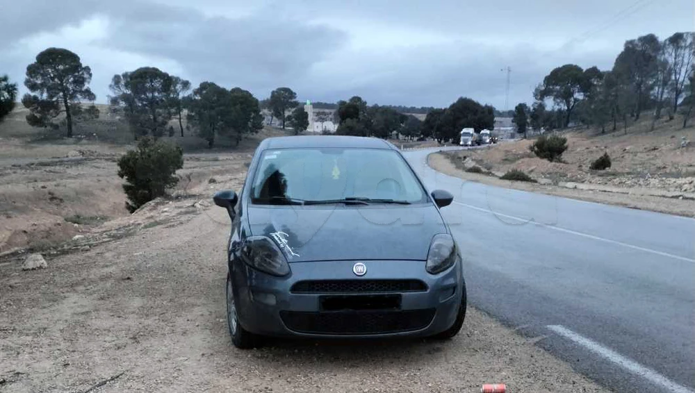 Carte voiture Fiat Punto