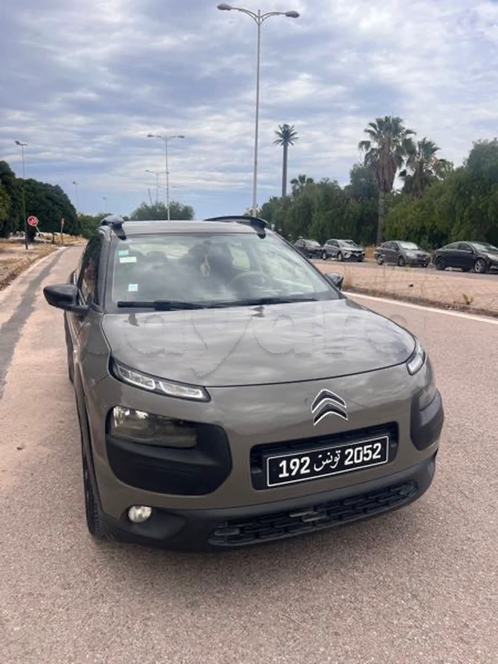 Carte voiture Citroen C4 Cactus