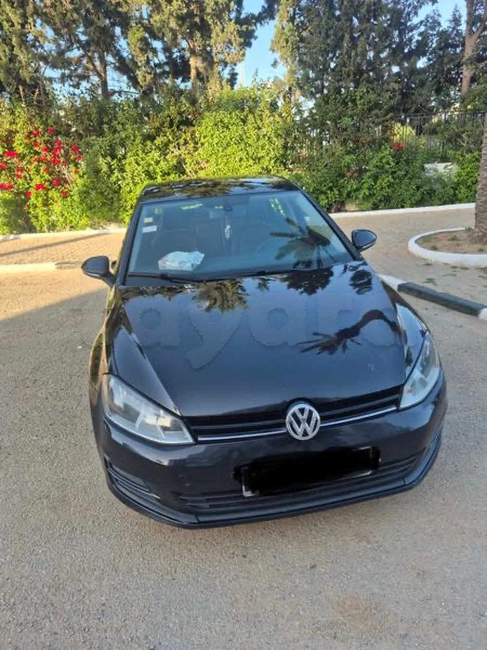 Carte voiture Volkswagen Golf 8
