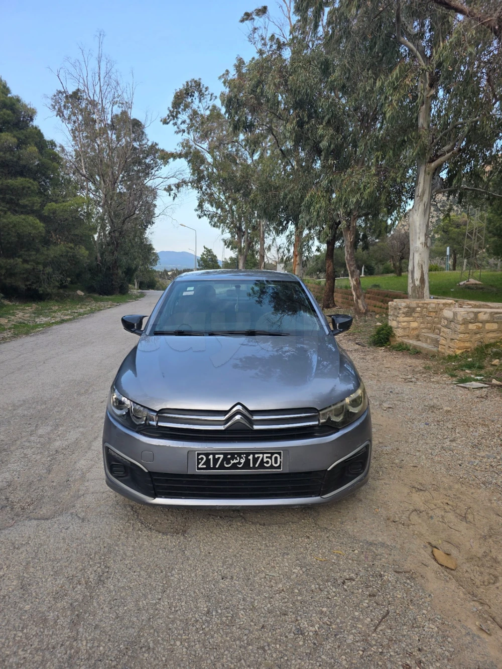 Carte voiture Citroen C-Elysee