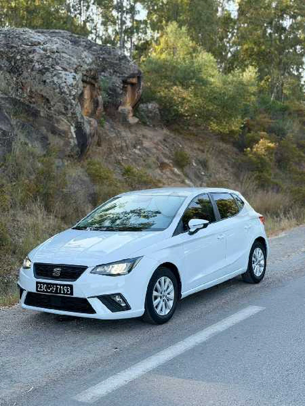 Carte voiture SEAT Ibiza