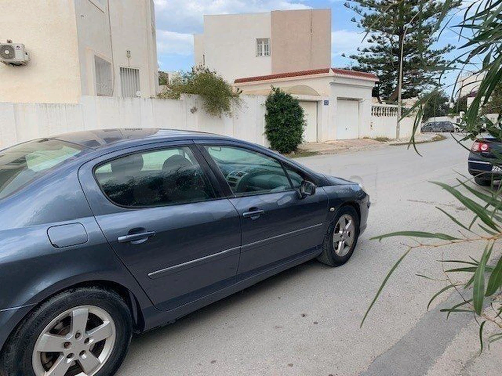 Carte voiture Peugeot 407