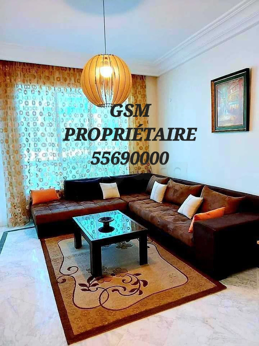 Particulier L S+2 meublé Ennasr2 pour étranger
